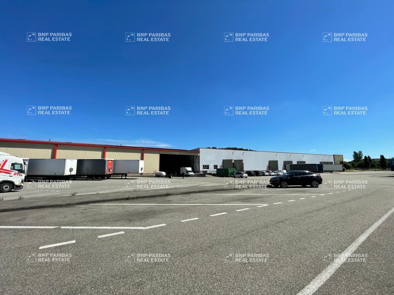 1650 m² pour ce activité en location à Scherwiller