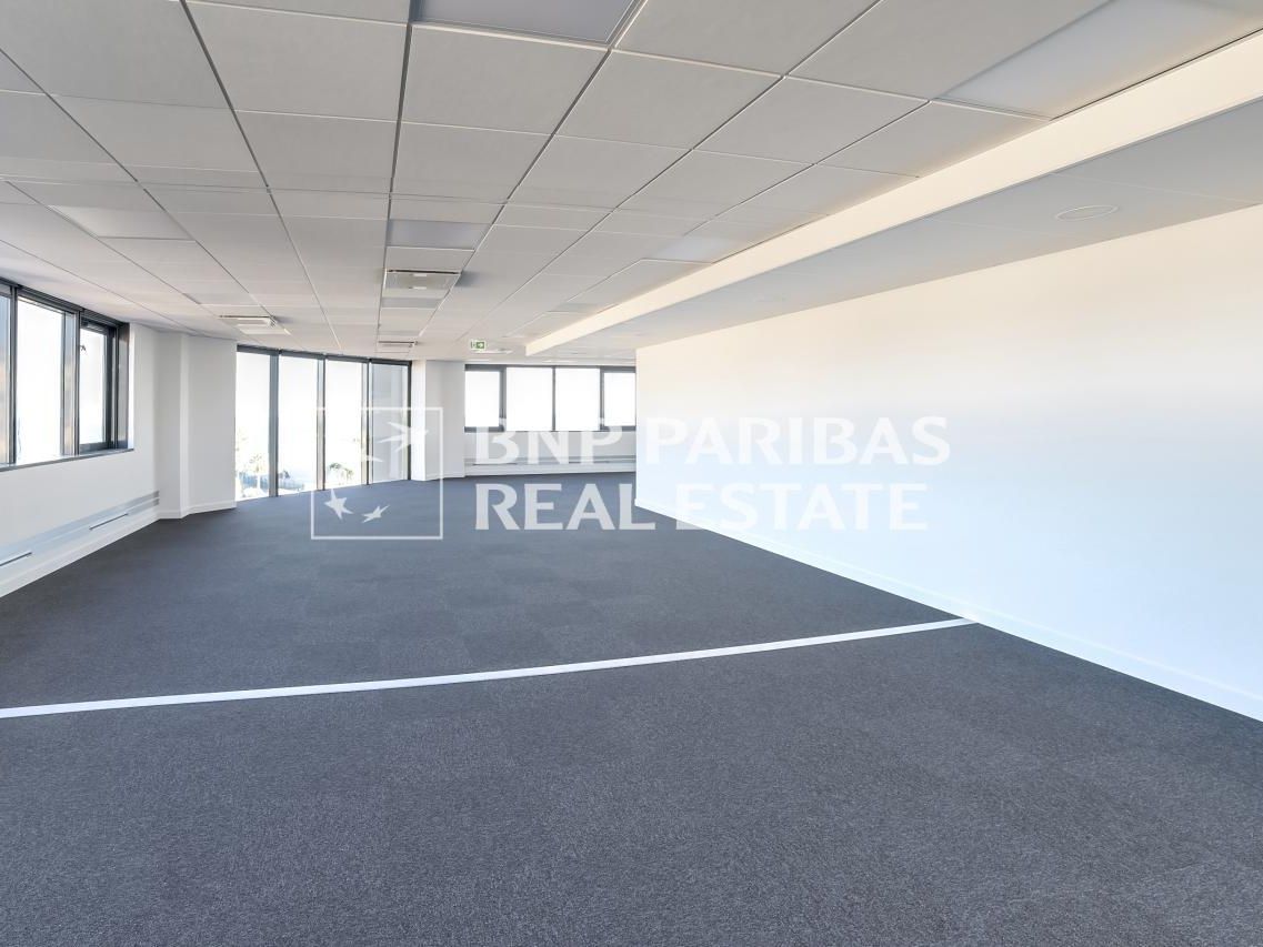 Location Bureaux 1711 m² non divisibles 06200 Nice