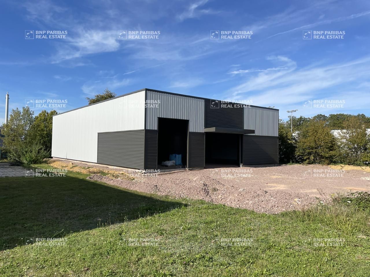 Vente Activité 450 m² non divisibles 88000 Épinal