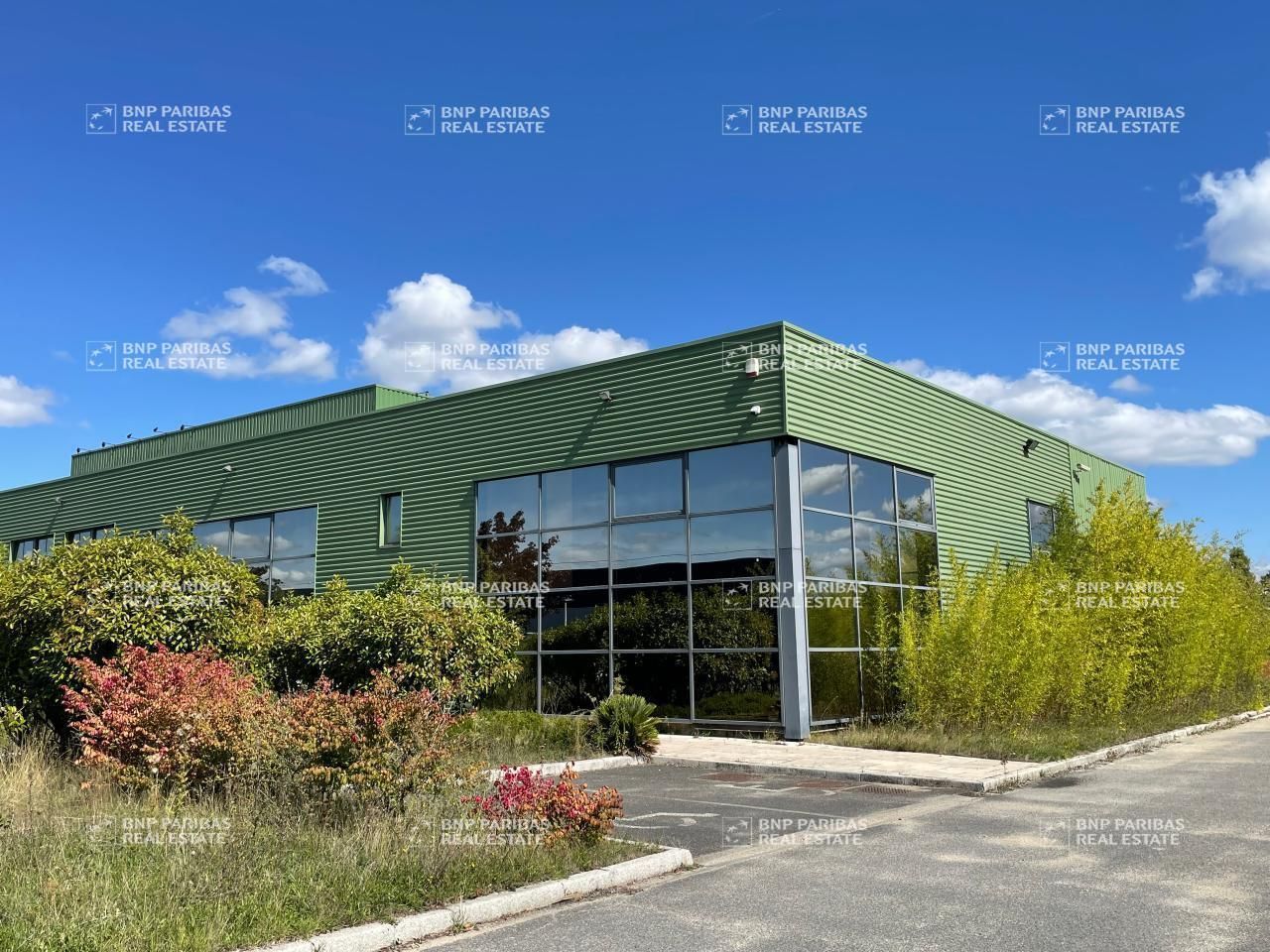 Location Activité 1068 m² non divisibles 45160 Olivet