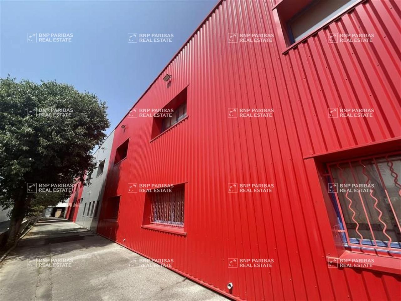 1115 m² pour ce mixtes en location à Mauguio