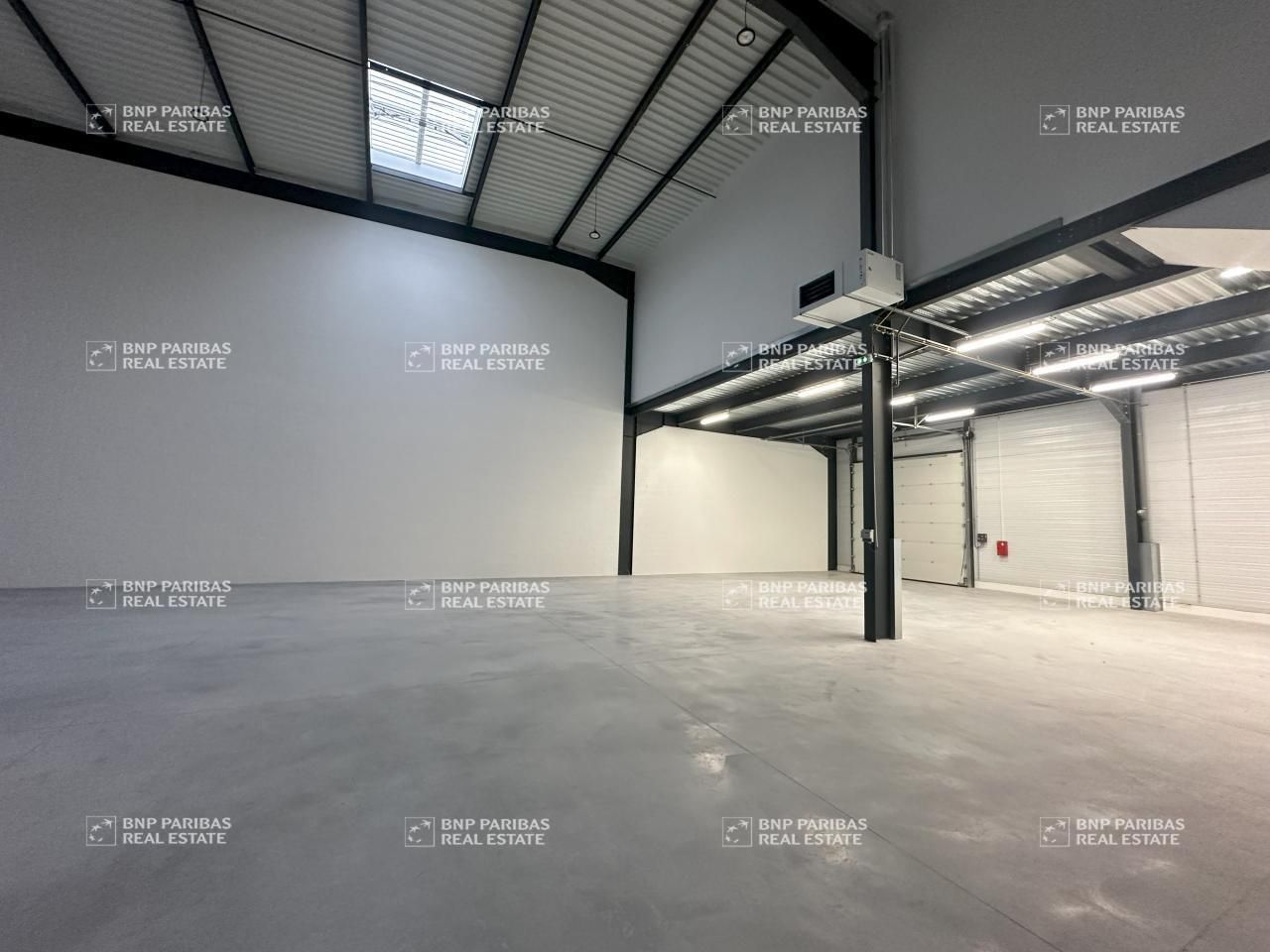 Location PME-PMI 1986 m² divisibles 77144 Chalifert