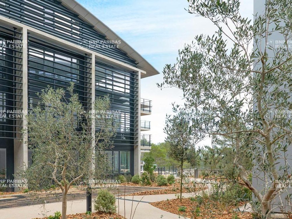 Location Bureaux 4624.18 m² non divisibles 06560 Sophia antipolis