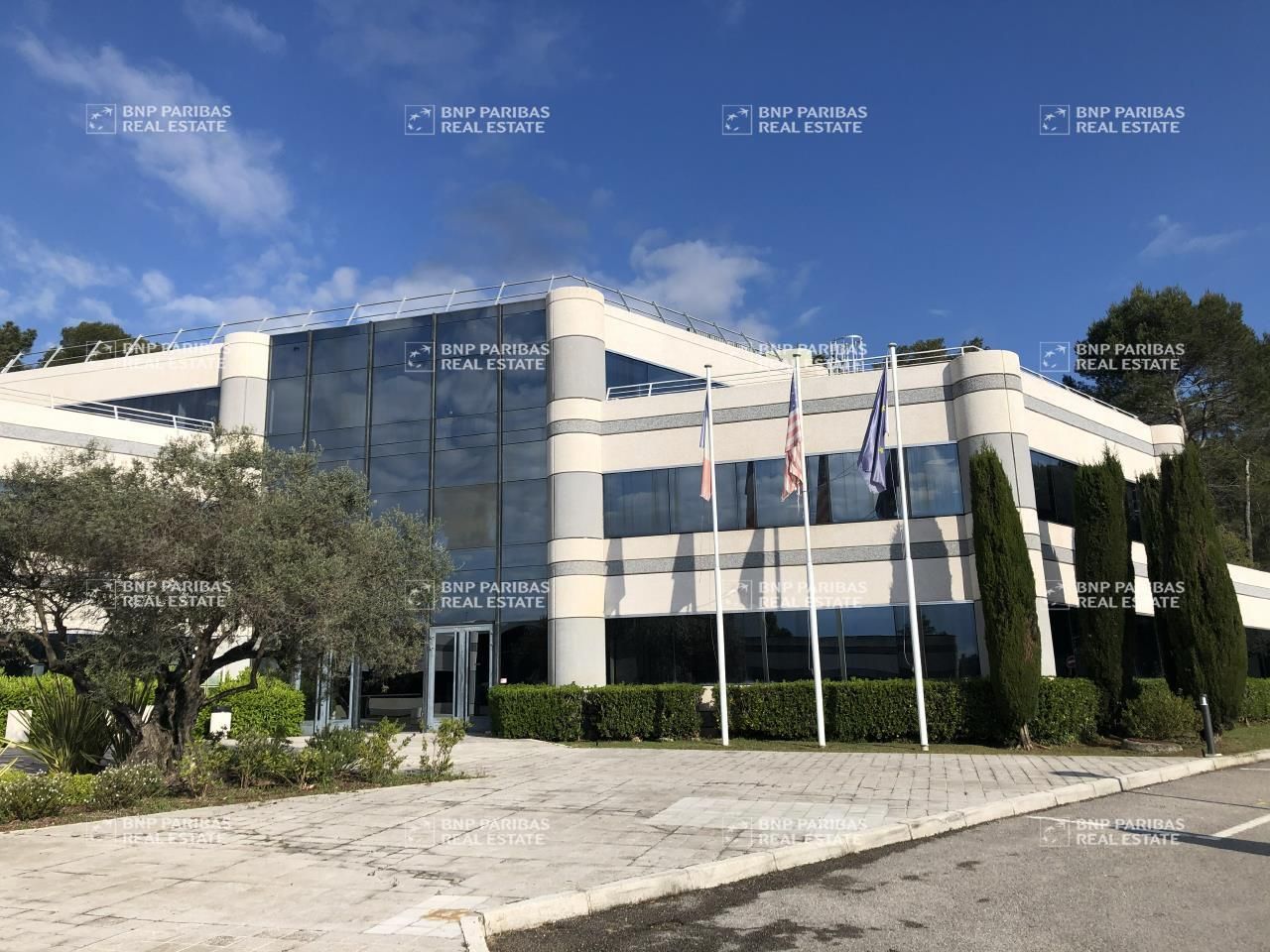 Location Bureaux 1087 m² divisibles 06250 Mougins