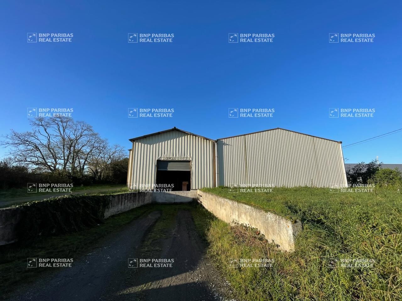 1628 m² pour ce activité en vente à Saint-jory