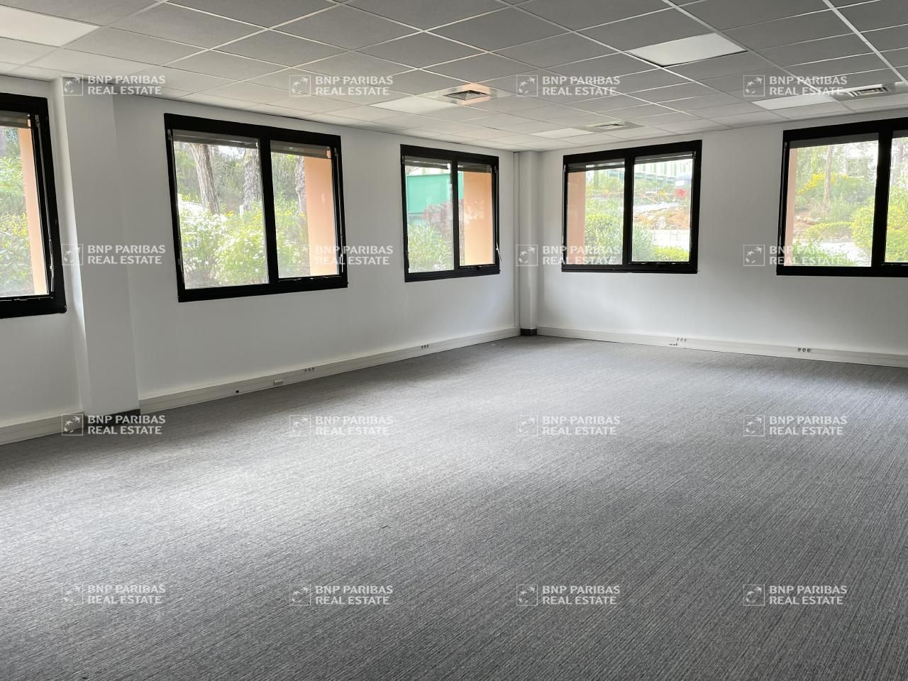 405.54 m² pour ce bureaux en location à Valbonne