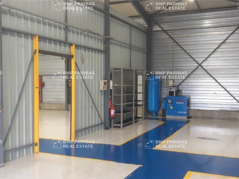 Vente Activité 645 m² non divisibles 37320 Saint-branchs