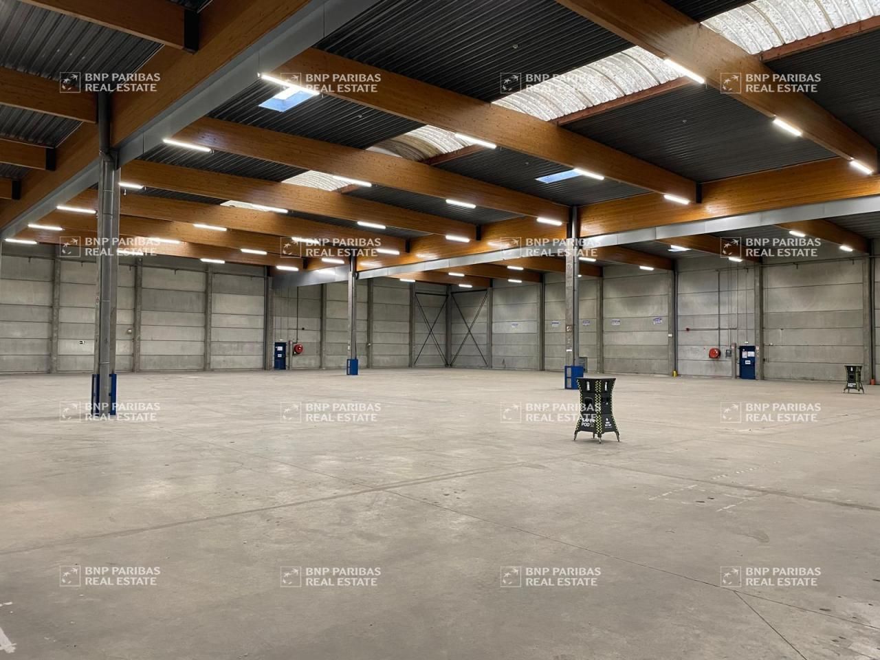 5023 m² pour ce activité en location à Saint-thibault-des-vignes