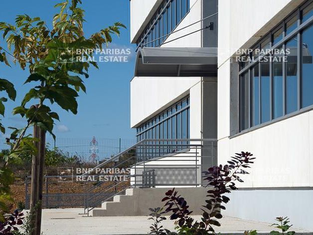 761.74 m² pour ce bureaux en location à Pérols