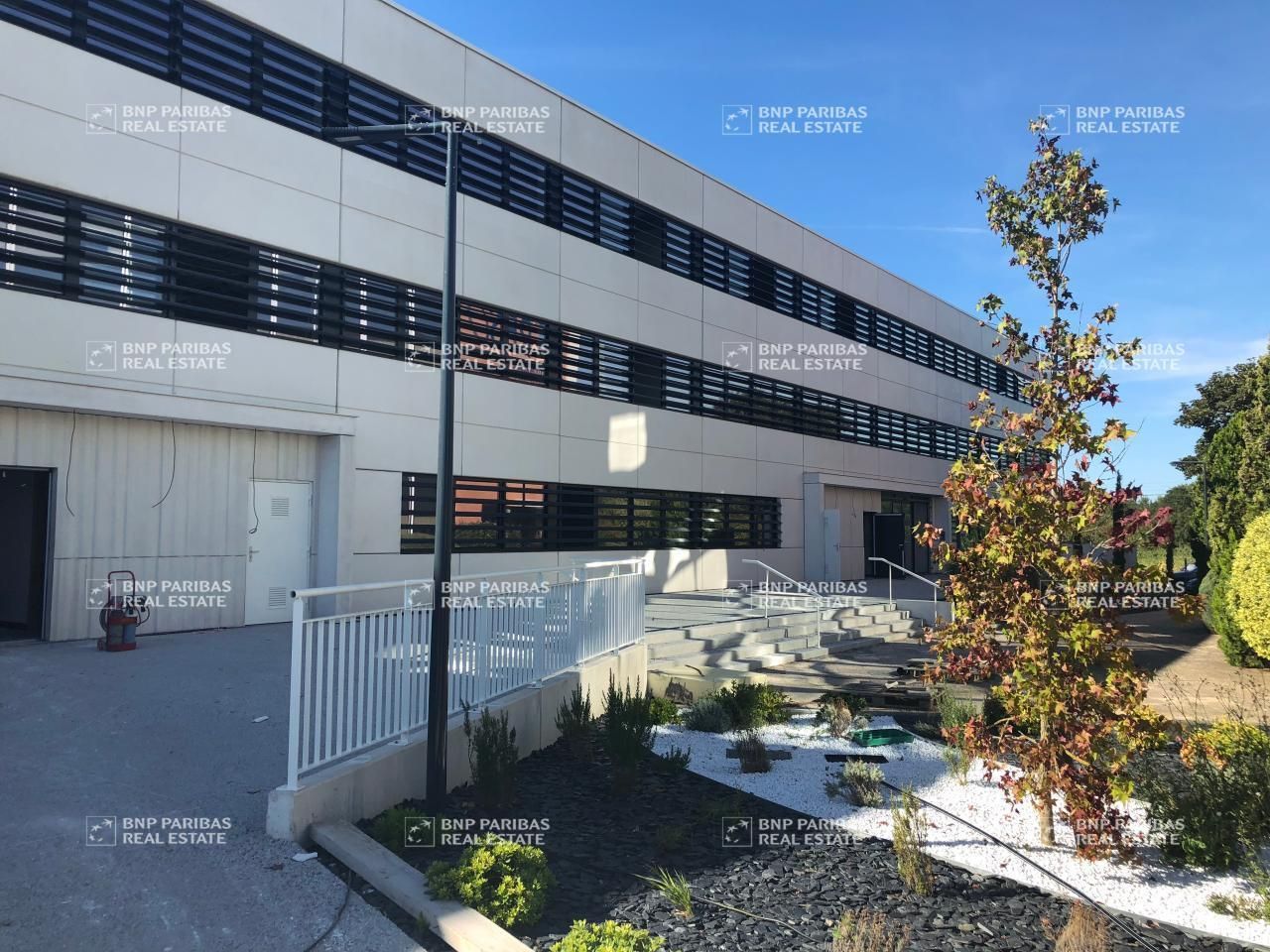 1729.53 m² pour ce bureaux en location à Toulouse