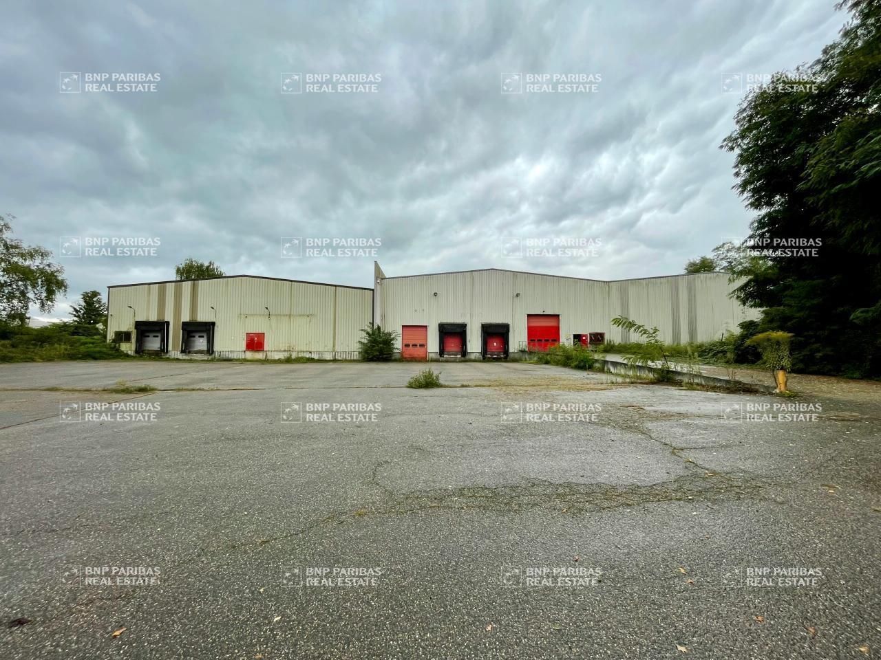 Location Activité 7122 m² divisibles 67118 Geispolsheim