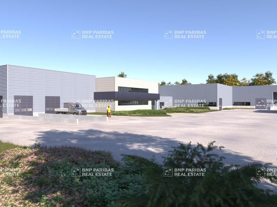 Location Activité 7498 m² non divisibles 01150 Blyes