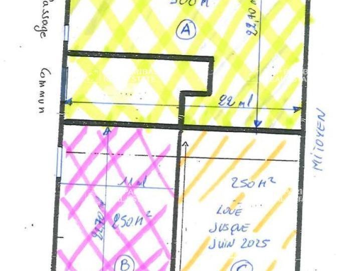 Location Activité 250 m² non divisibles 54270 Essey-lès-nancy
