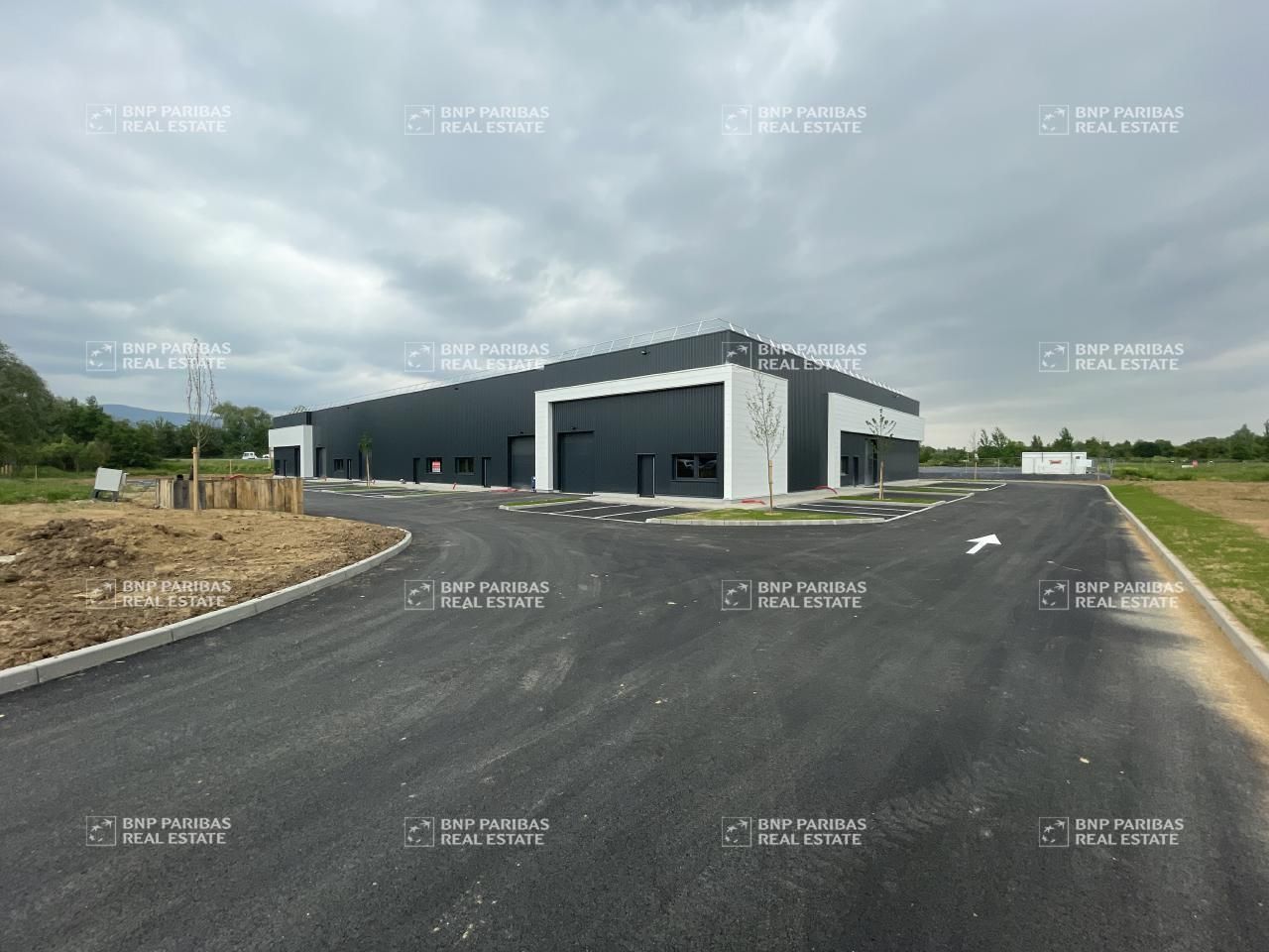 Vente activité à Goxwiller 67210