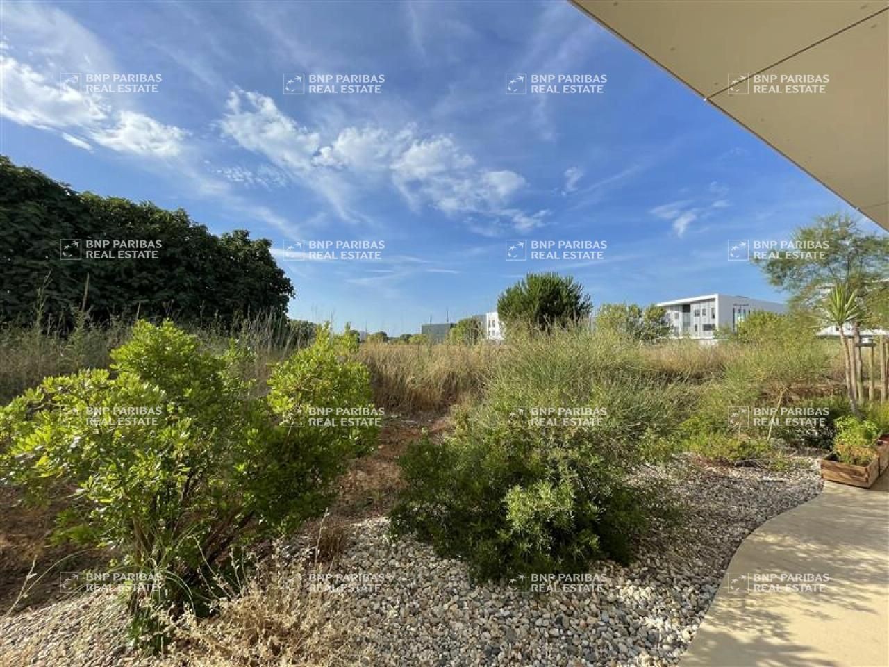 Location bureaux à Mauguio 34130