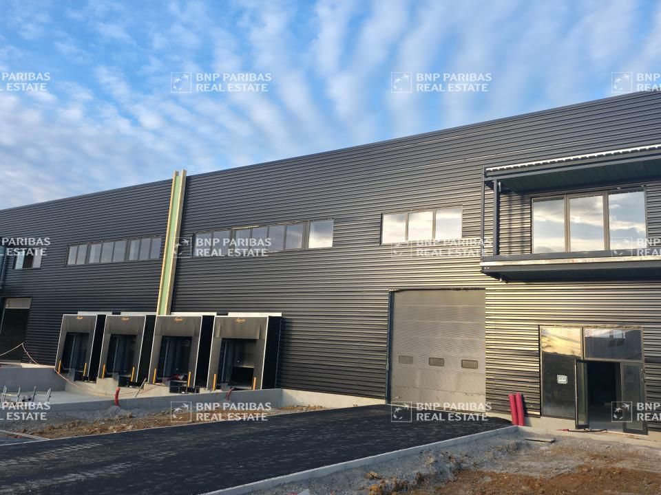 Location PME-PMI 4823.62 m² divisibles 94510 La queue-en-brie