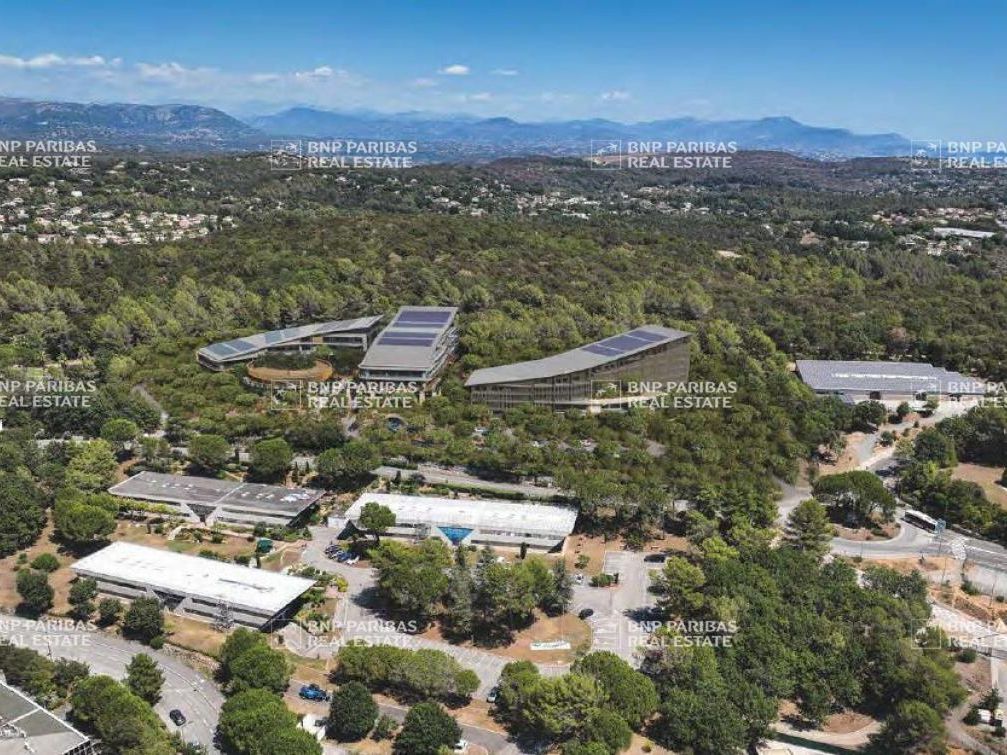 Location Bureaux 12468.44 m² divisibles 06410 Biot