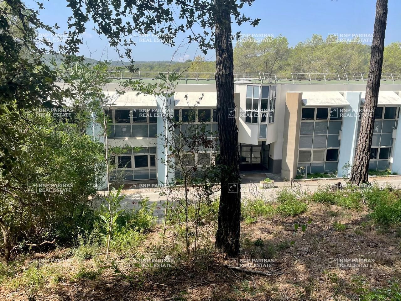 2595 m² pour ce bureaux en location à Sophia antipolis