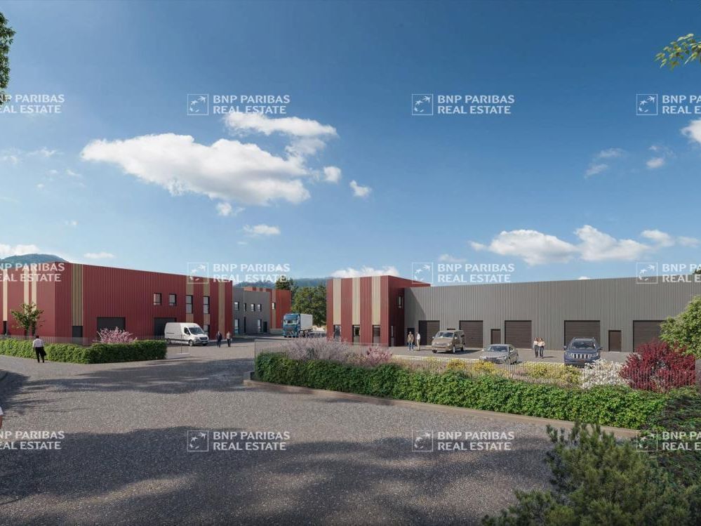 Vente Activité 5068.5 m² divisibles 38210 Tullins