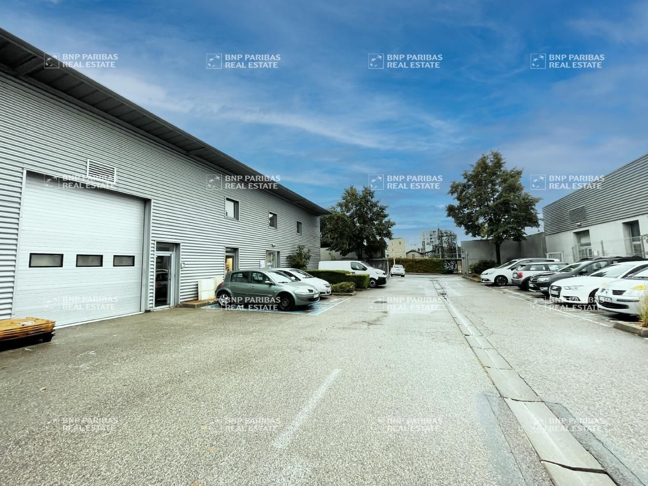 Location Activité 364 m² non divisibles 69007 Lyon