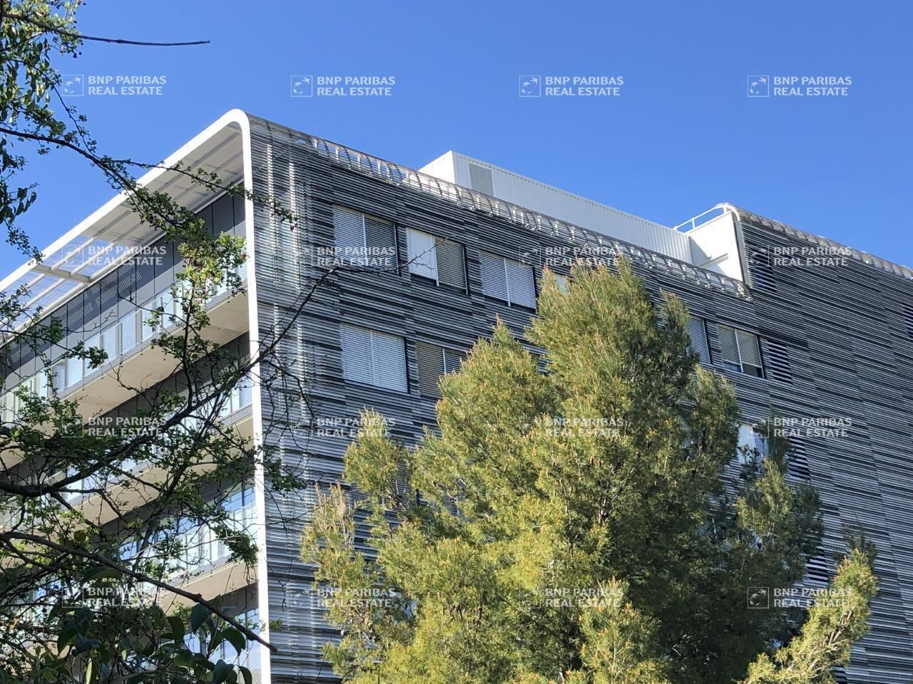 430.5 m² pour ce bureaux en location à Montpellier