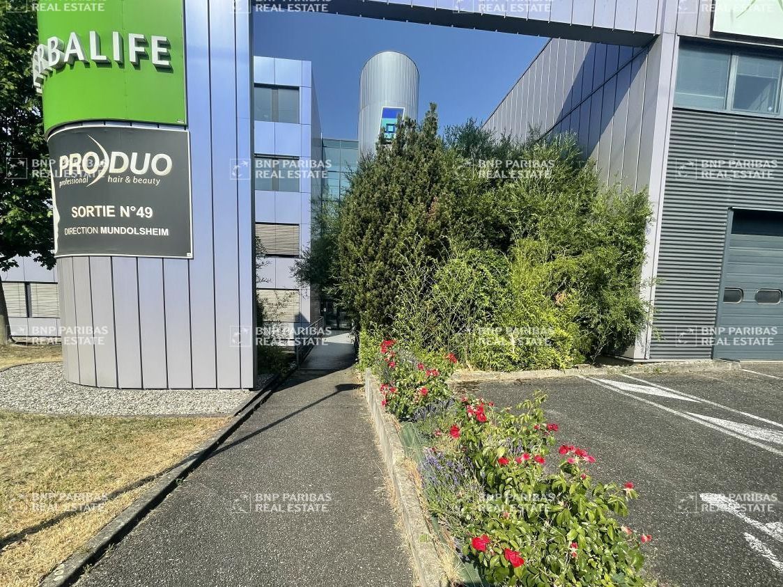424 m² pour ce bureaux en location à Mundolsheim