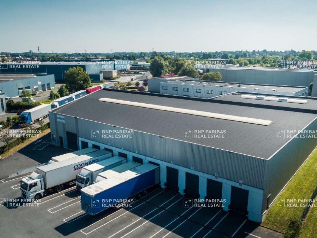 Location Activité 2500 m² non divisibles 59223 Roncq