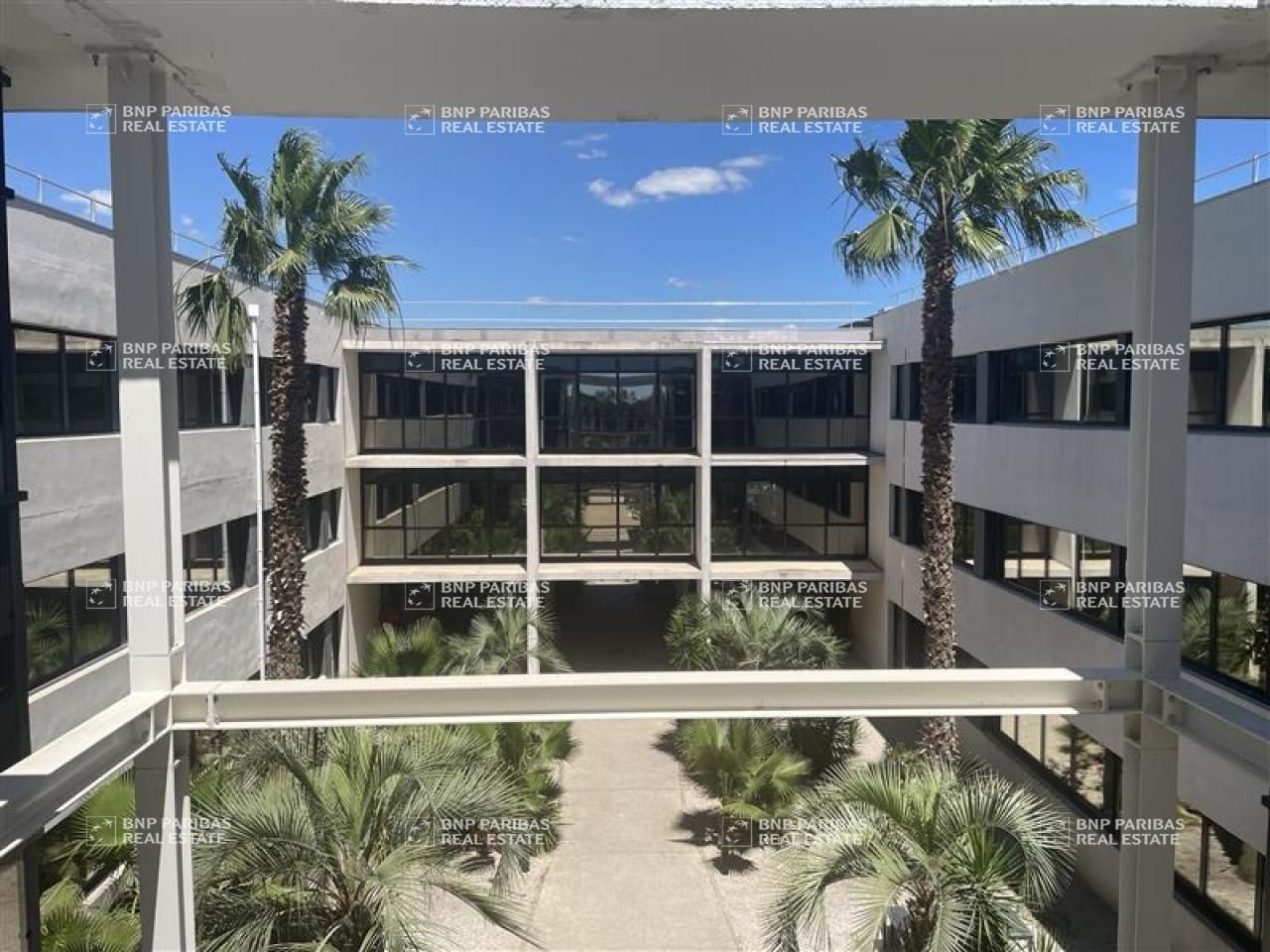 3037.6 m² pour ce bureaux en location à Pérols