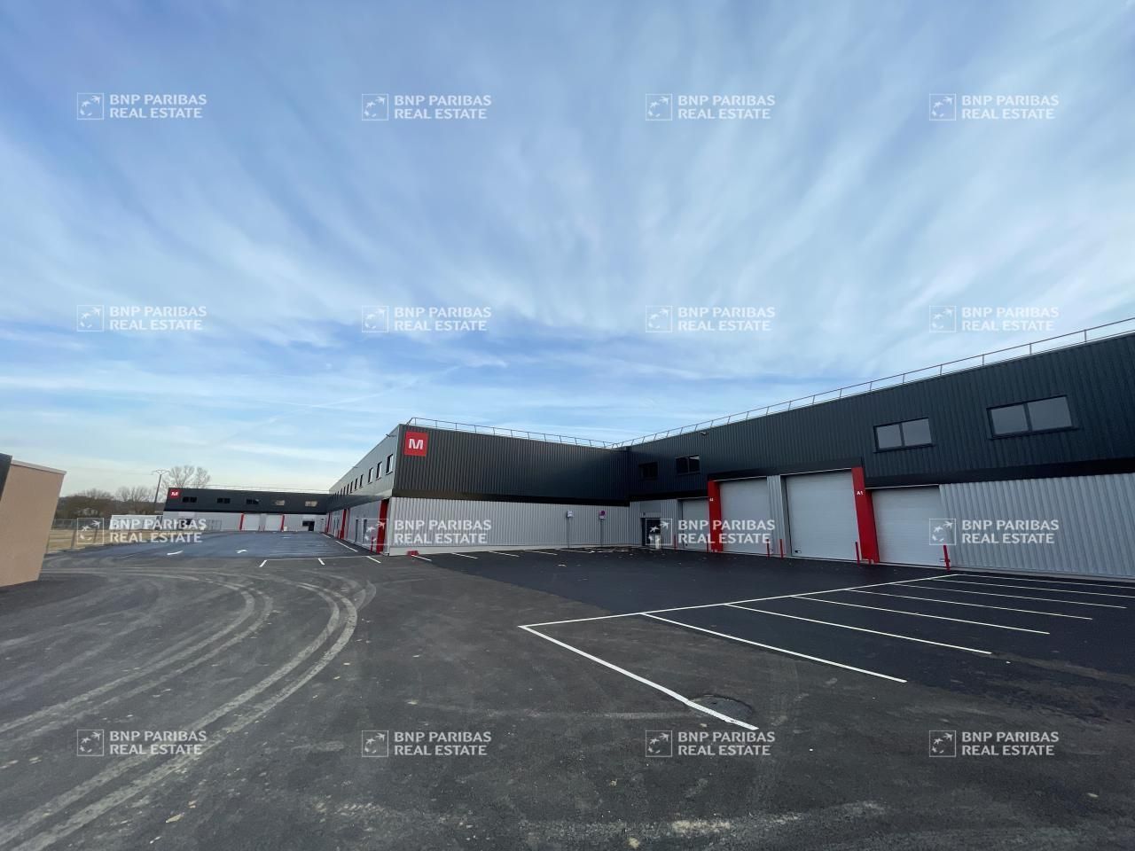Location Activité 5367.1 m² divisibles 31150 Bruguières