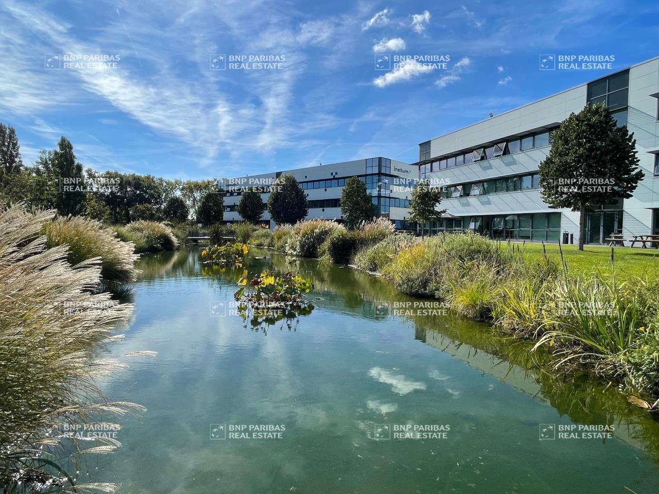 Location Bureaux 4900 m² divisibles 31100 Toulouse