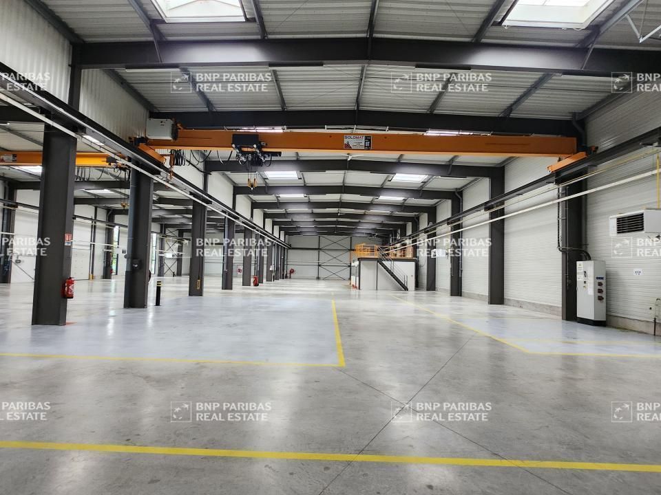 3300 m² pour ce activité en location à Bailly-romainvilliers