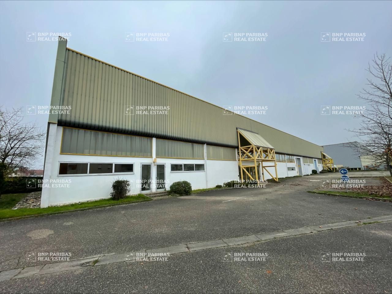 Vente Activité 2480 m² non divisibles 67210 Obernai