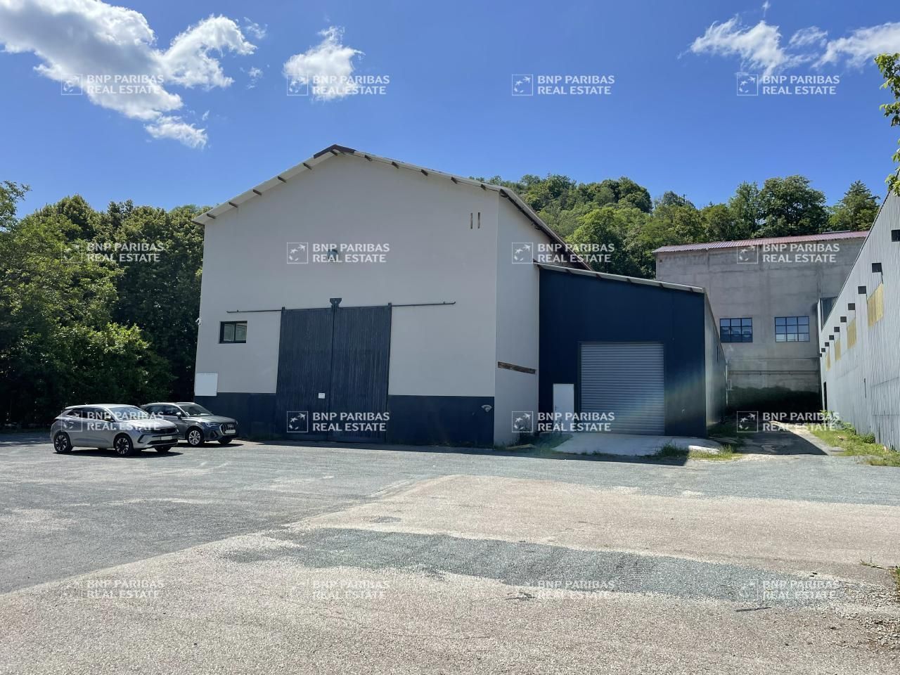 4218 m² pour ce activité en vente à Tullins