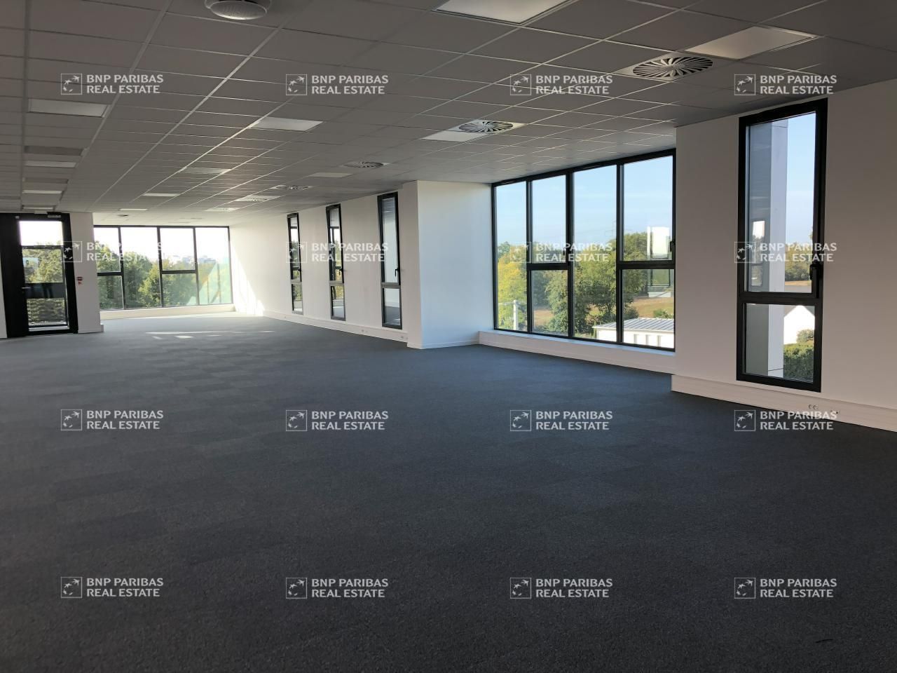 Location bureaux à Saint-grégoire 35760