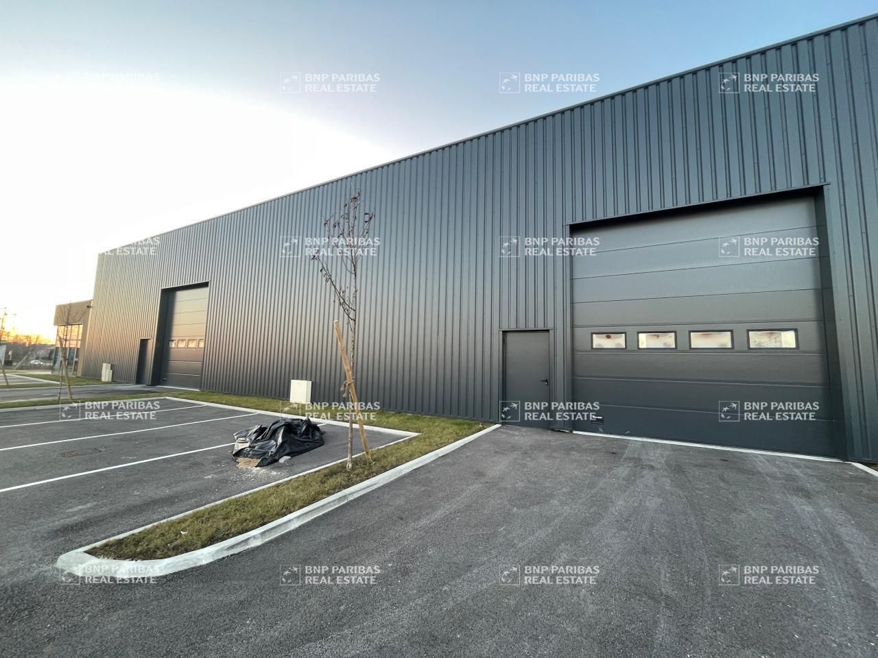 Location Activité 646 m² non divisibles 21700 Nuits-saint-georges