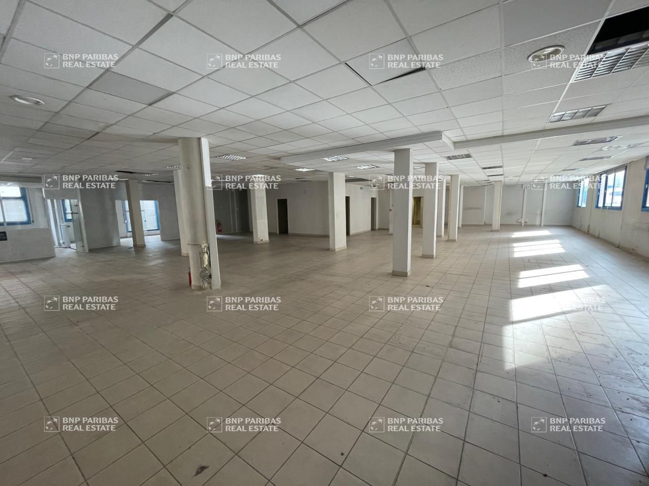 Location Activité 850 m² divisibles 06300 Nice