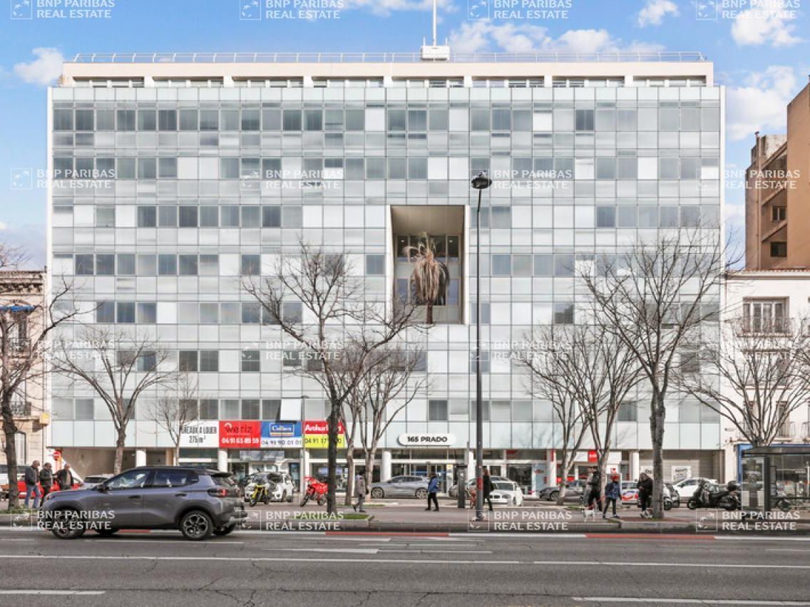 1297.2 m² pour ce bureaux en location à Marseille 08