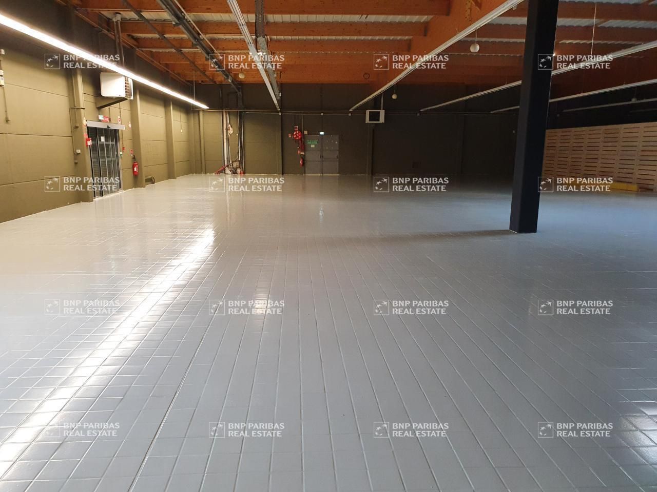 Vente Activité 800 m² non divisibles 59136 Wavrin