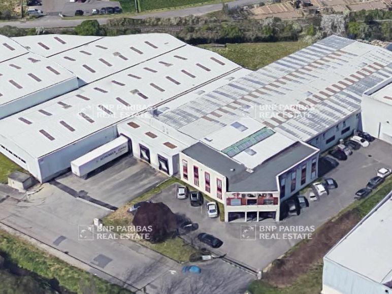 Vente Activité 6253.7 m² divisibles 69530 Brignais