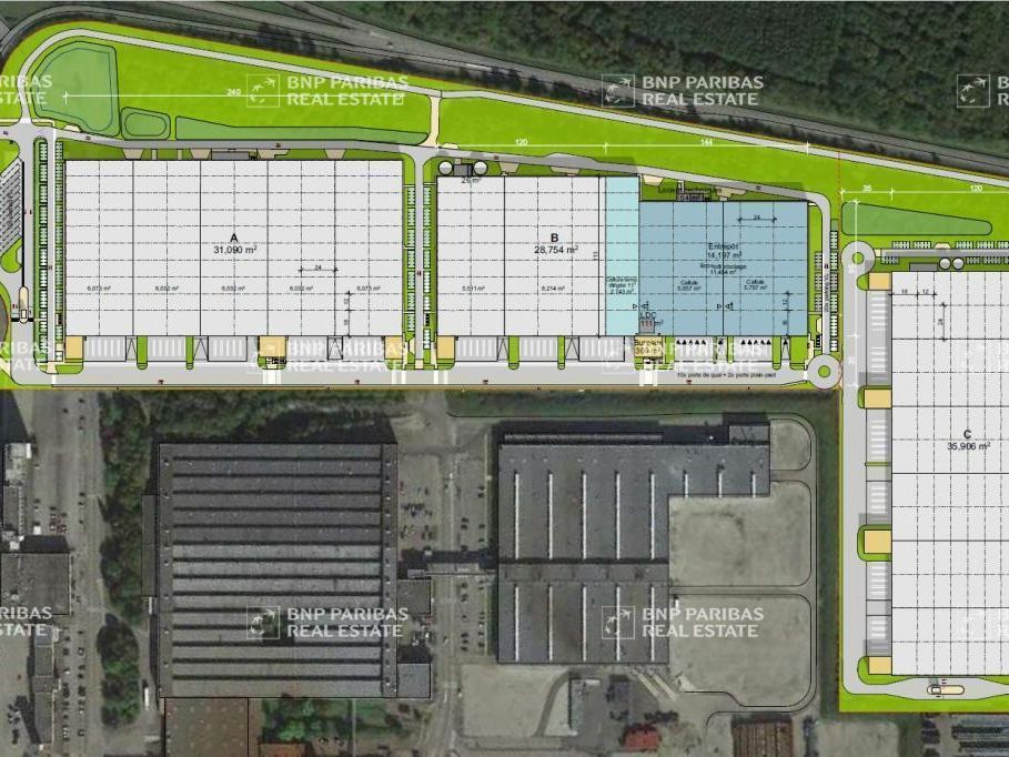 31090 m² pour cetentrepôts classe a en location à Sausheim
