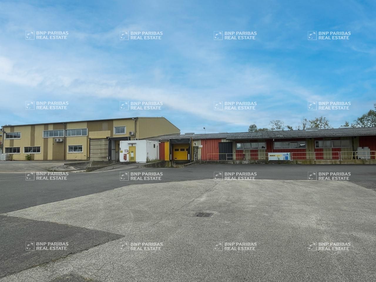 6354.7 m² pour ce activité en vente à Saint-trivier-sur-moignans