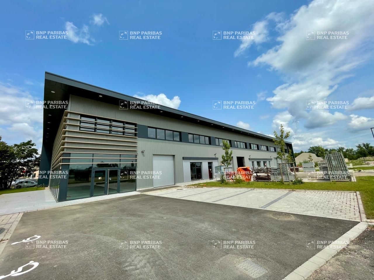 Location Activité 374 m² non divisibles 67118 Geispolsheim
