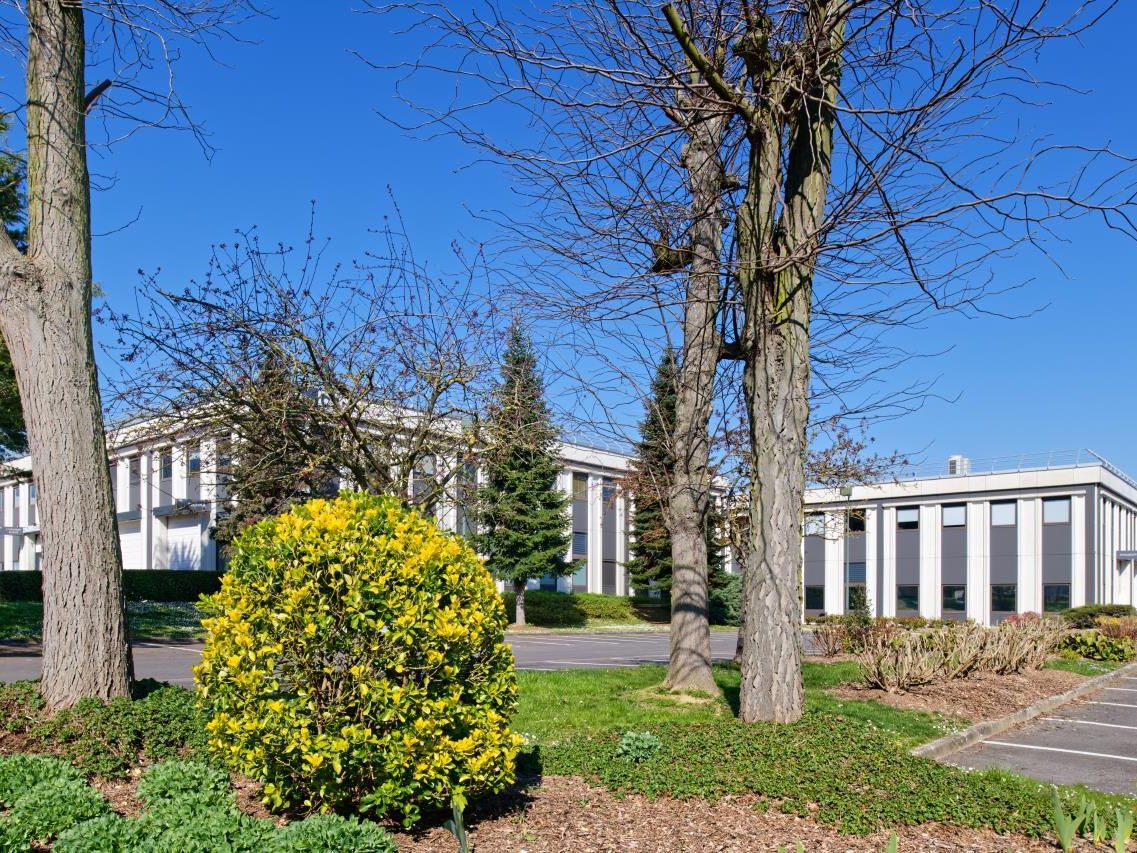 Location PME-PMI 597 m² non divisibles 95800 Cergy