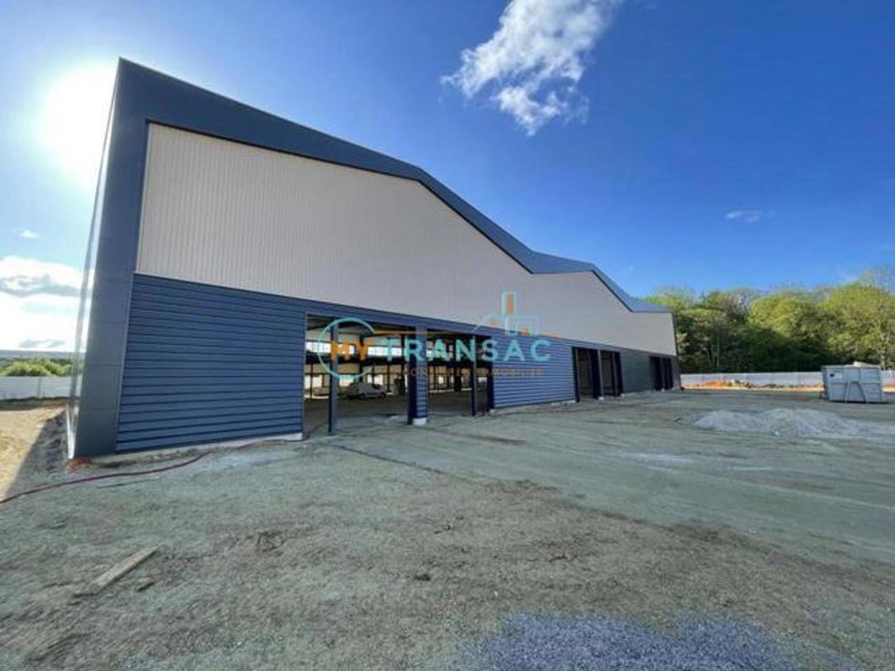 A VENDRE LOCAUX D'ACTIVITÉS NEUFS AVEC PLUSIEURS S
