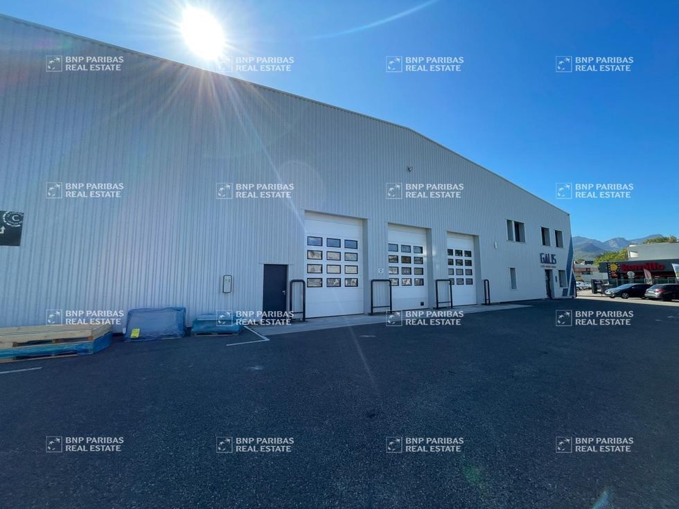 Vente Activité 1857.3 m² non divisibles 73490 La ravoire