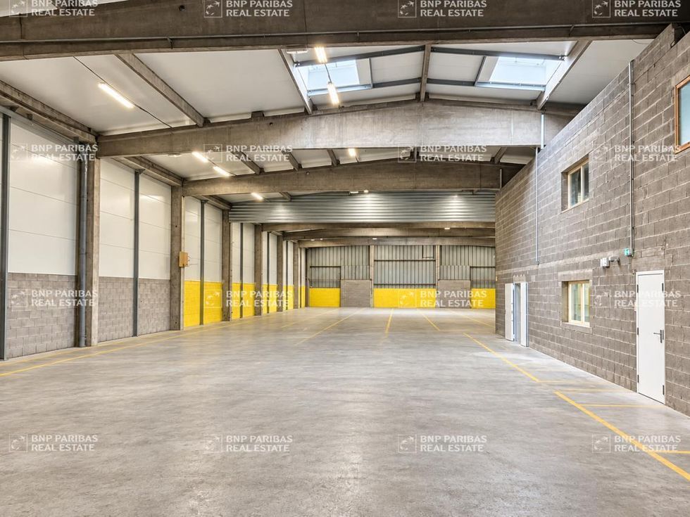 Location Activité 1449 m² non divisibles 54710 Ludres