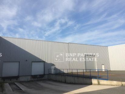 Location Activité 3163 m² divisibles 45160 Olivet