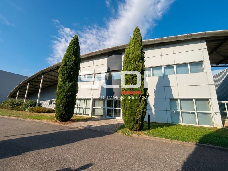 A vendre - Entrepôt - Locaux d'activité - Miribel