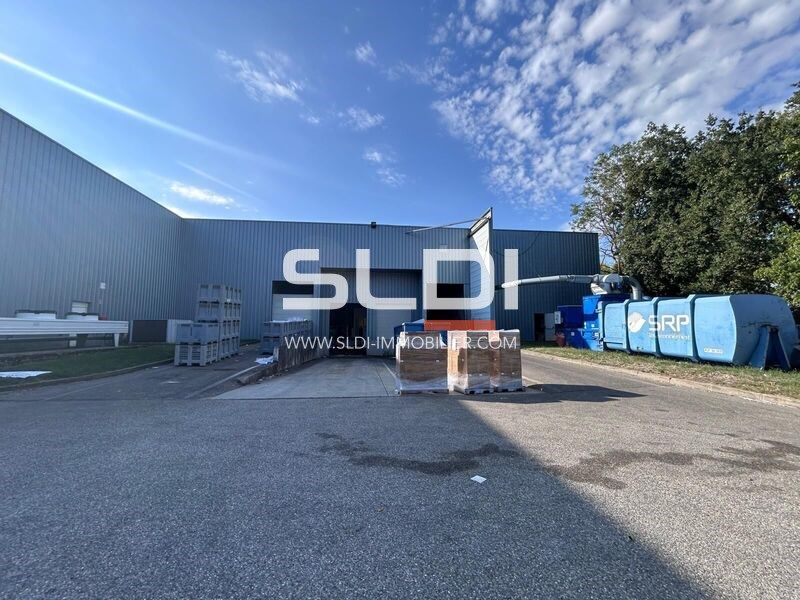 A vendre - Entrepôt - Locaux d'activité - Miribel