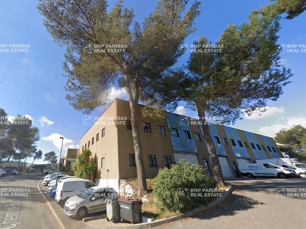 Location Activité 1201 m² divisibles 06220 Vallauris